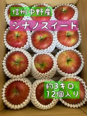 りんご　シナノスイート(小玉)約3キロ(12個)