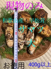 和歌山冨貴産松茸本日発送品227㌘14時迄決算