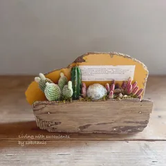 流木プランターの寄せ植え サボテン イエロー