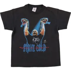 超激レア】WWE スティーブオースティン自伝サイン入り