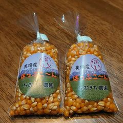 美瑛産はじける！香ばしいポップコーン【100g×2袋】