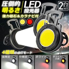 投光器 LED 2個セット 充電式 COB投光器 6W 作業灯 小型LED作業灯 緊急照明 屋外照明 ワークライト usb 充電式 LED投光器 自動車整備 アウトドア キャンプ 旅行 夜釣り ランニング 防災 地震 バッテリー付き 180°角度調整可能