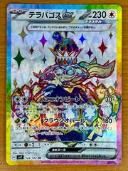 2025年最新】テラパゴスex SR psa10の人気アイテム - メルカリ
