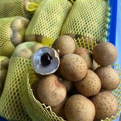 [5月27日に入荷]　生鮮 航空便  ベトナム産 リュウガン　2kg