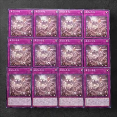 6920【遊戯王】原石の号咆  12枚セット