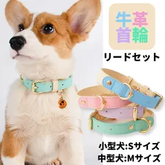 首輪・リードセット★パステル・バイカラー★革☆S・M☆小型犬☆中型犬★かわいい