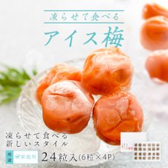 スイーツ 紀州南高梅 アイス梅 6粒×4 セット 【トノハタ公式】｜ シャーベット フルーツ 冷凍 梅干し お試し ヘルシー 健康 お菓子 梅 完熟 うめぼし 南高梅 お取り寄せ 食品 人気 おすすめ プレゼント  母の日 父の日 敬老の日 ご褒美