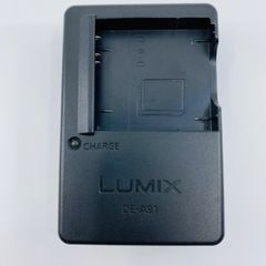 Panasonic LUMIX DE-A91