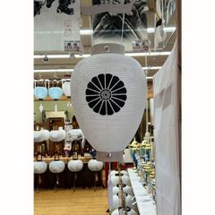 盆提灯　相極柾　白紋天　家紋入り　展示見本品