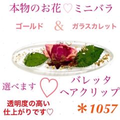 すのっぴ様専用 本物のお花 バレッタ ミニバラ 薔薇 ゴールド キラキラ レジン