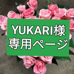 バラ  注文品50センチ１５本❨生花 切り花 花束❩