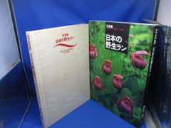 写真集 日本の野生ラン 神田淳 - メルカリ