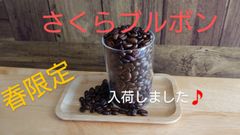 春限定 さくらブルボン 自家焙煎 200g