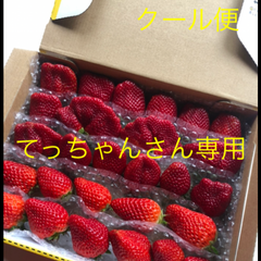 いちご赤黒　　　　クール便