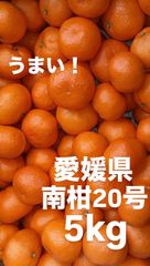愛媛県産　南柑20号　みかん　柑橘　10kg