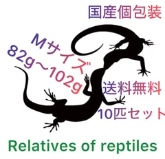 2025年最新】冷凍 ラットの人気アイテム - メルカリ