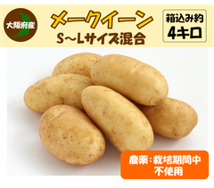 メークイーン　栽培期間中農薬不使用　じゃがいも　箱込み4kg