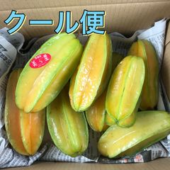 沖縄県産 スターフルーツ 美ら星 クール便