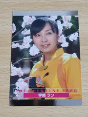 【送料無料】福井未菜/新品未開封/ミナフル/ワニブックス/廃盤/ゲキレンジャー 送料無料】福井未菜 新品未開封 ミナフル 獣拳戦隊