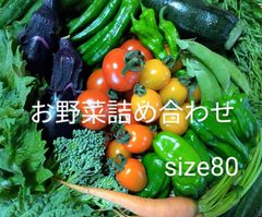 お野菜詰め合わせ　size80 地域限定品