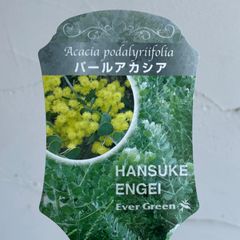 scjavGrJ7esXeDXEE8sm6V.jpg@jpg