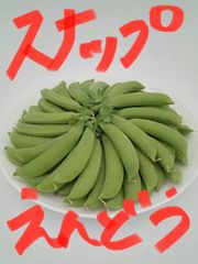 山形県庄内産スナップえんどう  500ｇ