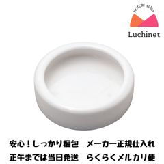SUDO　レプタイルディッシュS