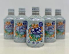 【※２月後半より入荷次第お送り!!!】【静岡　三ヶ日みかんジュース　みかん　】