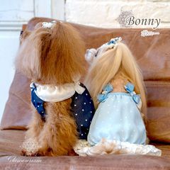 Glamourism　グラマーイズム　ボニー