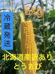 本日発送　北海道産訳ありとうきび5kg（とうもろこし）8〜12本