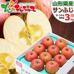 山形県産 ご家庭用 りんご サンふじ 3kg (準秀品/9玉～14玉入り) 旬 ふじ リンゴ 林檎 ご自宅用 ご家庭用 お家用 お得 お買い得 果物 フルーツ 山形県 山形県直送 グルメ お取り寄せ