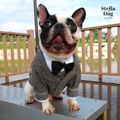 閉店セール全品半額】大きいサイズ　グレンチェック柄ジャケット　ブラウン　タキシード　スーツ　犬服