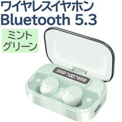 【REDHiLL】ワイヤレスイヤホン bluetooth イヤフォン 防水 IPX7防水 ノイズキャンセリング コードレス ミントグリーン【SUMO1051/コンパクト】[OJ]