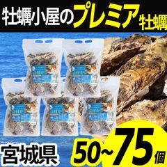 牡蠣 冷凍 【大中サイズ】殻付き 50〜75個 産地直送 宮城県産 三陸 カキ kaki 牡蛎 生牡蠣 海鮮 貝 貝類 バーベキュー BBQ 【1.5kg×5袋】