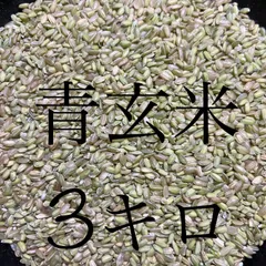 令和7年産　青玄米（うるち米）3kgのサムネイル