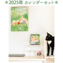 【壁・卓上セット】 ほっかいどうのそらのした 2025 オリジナル卓上＆壁掛けカレンダー