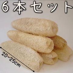 へちまたわし　エコスポンジ　6本セット　無漂白無農薬　エコ生活地球にも肌にもやさしい