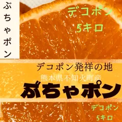 2024年最新】デコポン 10キロの人気アイテム - メルカリ