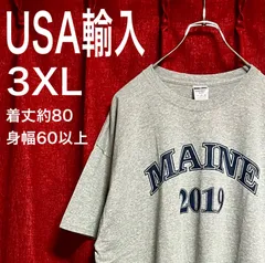 美品 USA輸入 アメリカ古着 地名T スーベニアTシャツ ライトグレー 3XL 大きいサイズ JERZEES ジャージーズ MAINE メイン