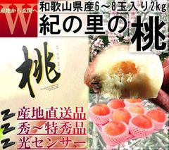 【1～3週間出荷予定】 産地直送 紀の里桃 約2kg 6～8玉 贈答規格 和歌山県産 特秀品～秀品 糖度センサーで厳選した抜群の味！ギフト最適な旬のフルーツ