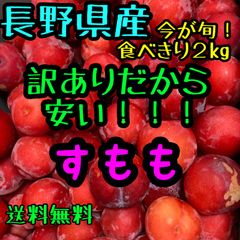 安い！家庭用すもも約2㎏入　長野県産プラム　桃　クール便送料無料