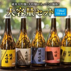 日本酒 飲み比べ 大容量セット 720ml×5本