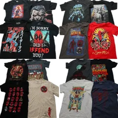 古着卸 まとめ売り マーベル DCコミック 半袖Tシャツ 16枚セット (メンズ XS /Ｓ ) ブラックパンサー キャプテンアメリカ 中古 古着 NA9088