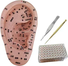 Quikaboo 耳ツボ 模型 立体模型 耳ツボ模型 耳つぼシール 17cm 耳つぼ模型 耳つぼジュエリー(マッサージ用銅棒 付属)