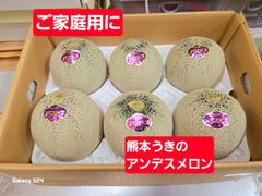【熊本産】アンデスメロン　6玉規格　ご家庭用に