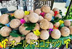 大人気！！暑い時期にはやっぱりこれ！！オールドココナッツ　1ケース（3個入り）　ココナッツウォーター　ココナッツミルク　ココナッツオイル