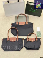【今日特価】Longchamp Energy シリーズ ナイロンバッグ（Le Pliage Energy カップルモデル）-WTO輸入
