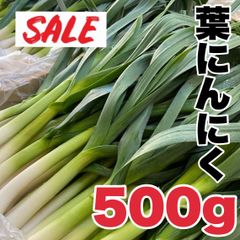 【農家直送】高知県特産‼️葉ニンニク 500g 即購入OK vng