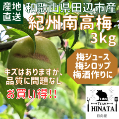 日向屋の紀州南高梅 3kg 和歌山県田辺市 産地直送【梅ジュース、梅シロップ、梅酒作りに】