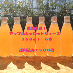 自家産 無袋栽培ふじりんごのアップルジュース～ほんのりにんじん～